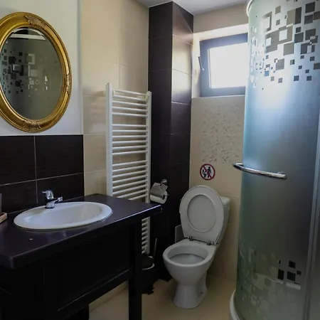 Pensiunea Maidali בית הארחה 3*